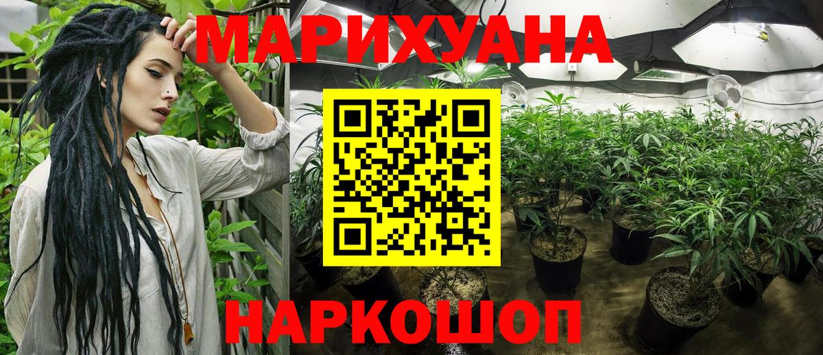 Бошки Шишки гибрид Сургут